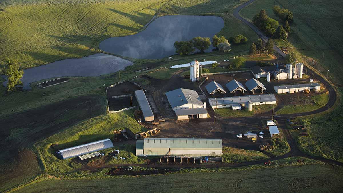 Aerial view of the Dairy Center