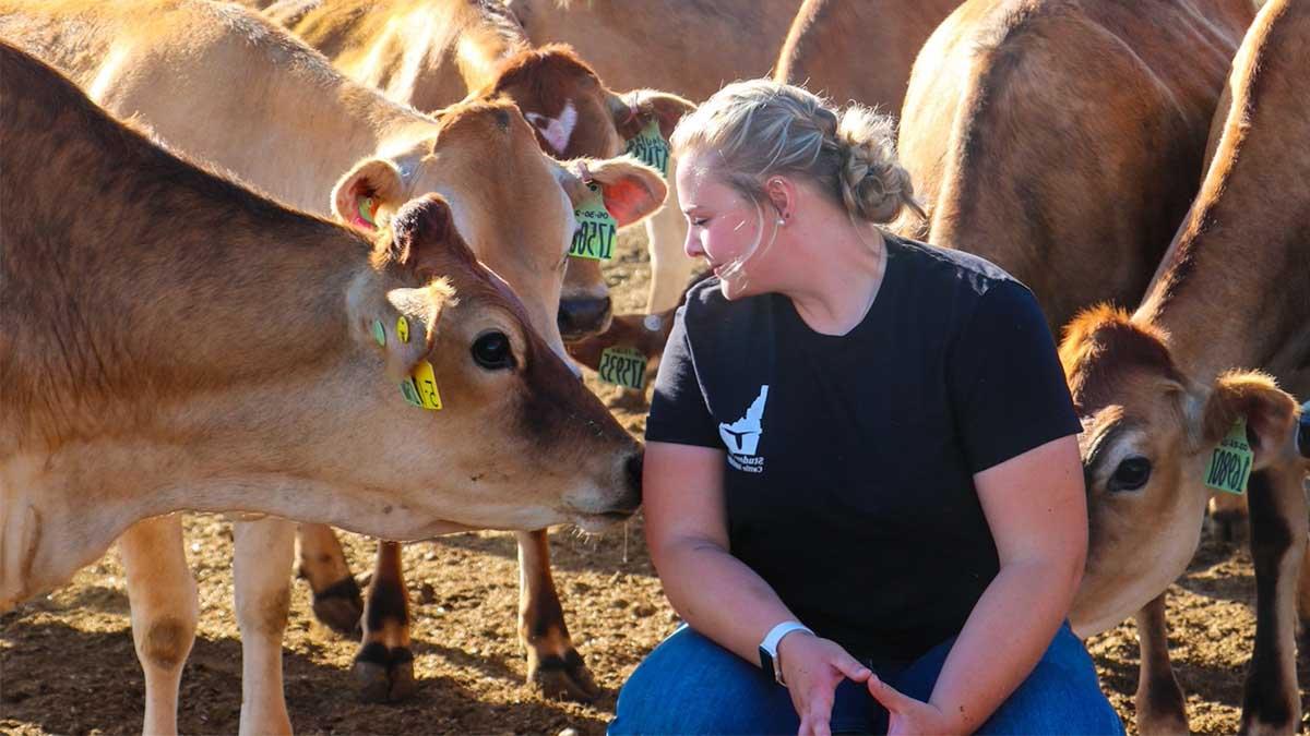 Woman surrounded by cattle