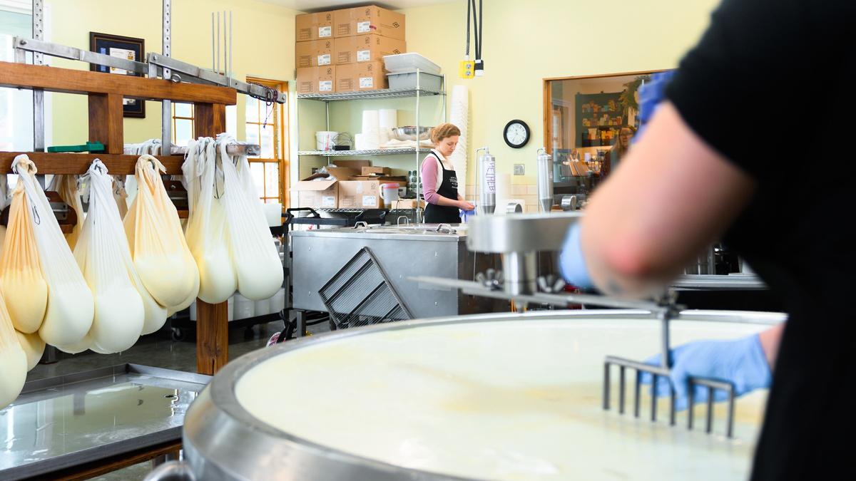 Woman stirs milk in large vat.