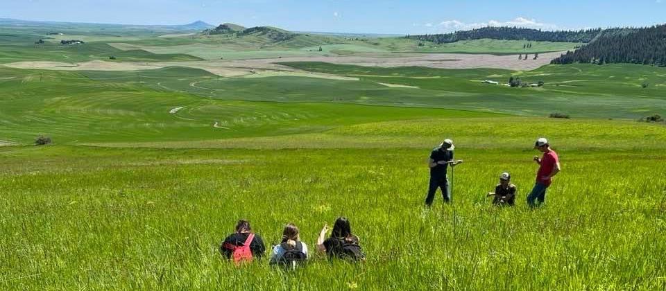 people in grassy fields