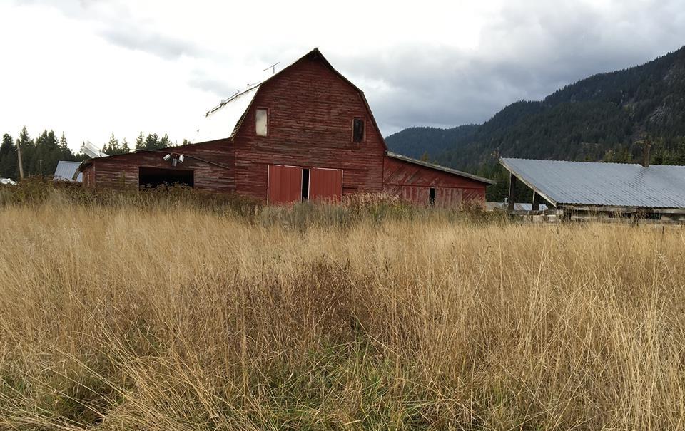 A barn with brush in the foreground.