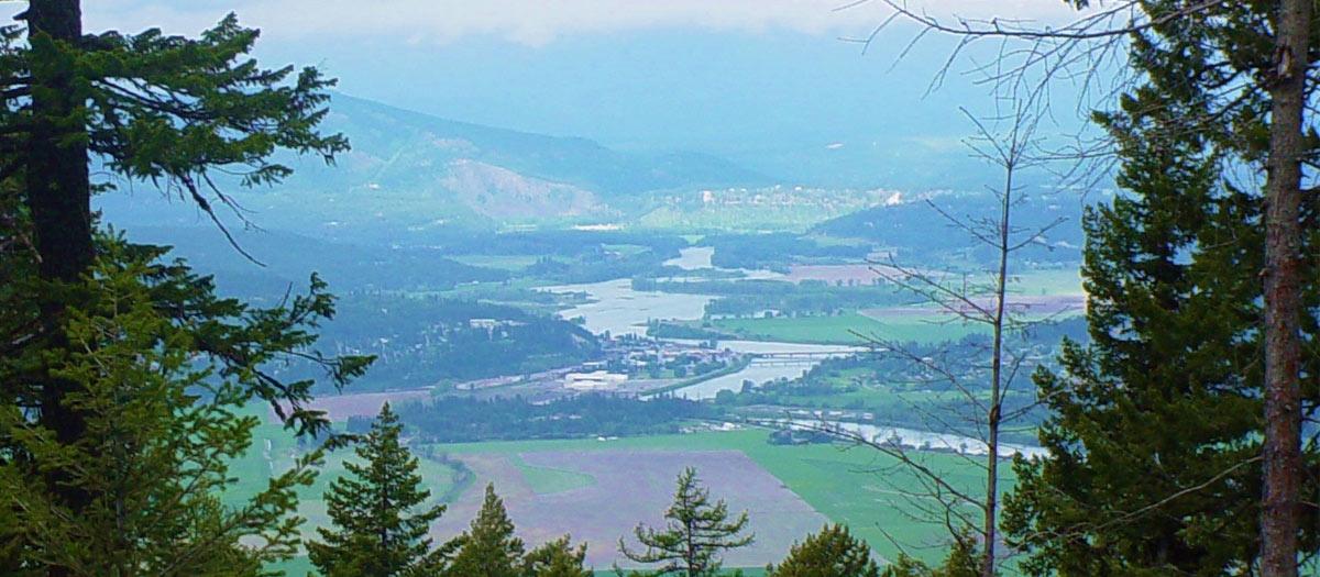 A view down into a valley, framed by trees.