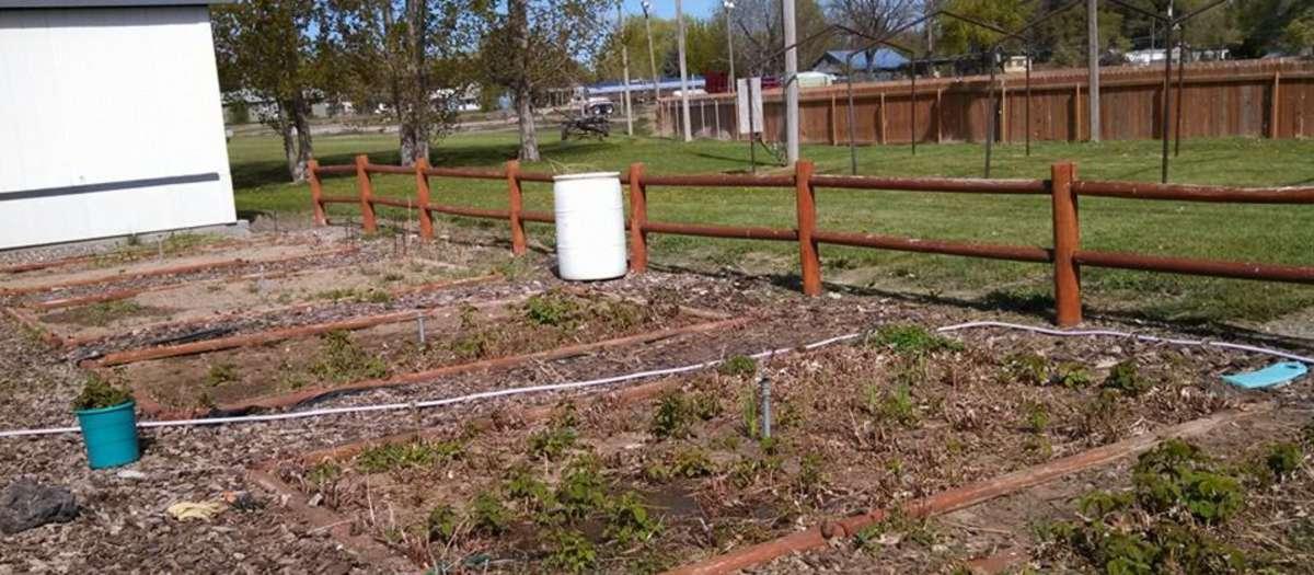 Gardening in Jerome County